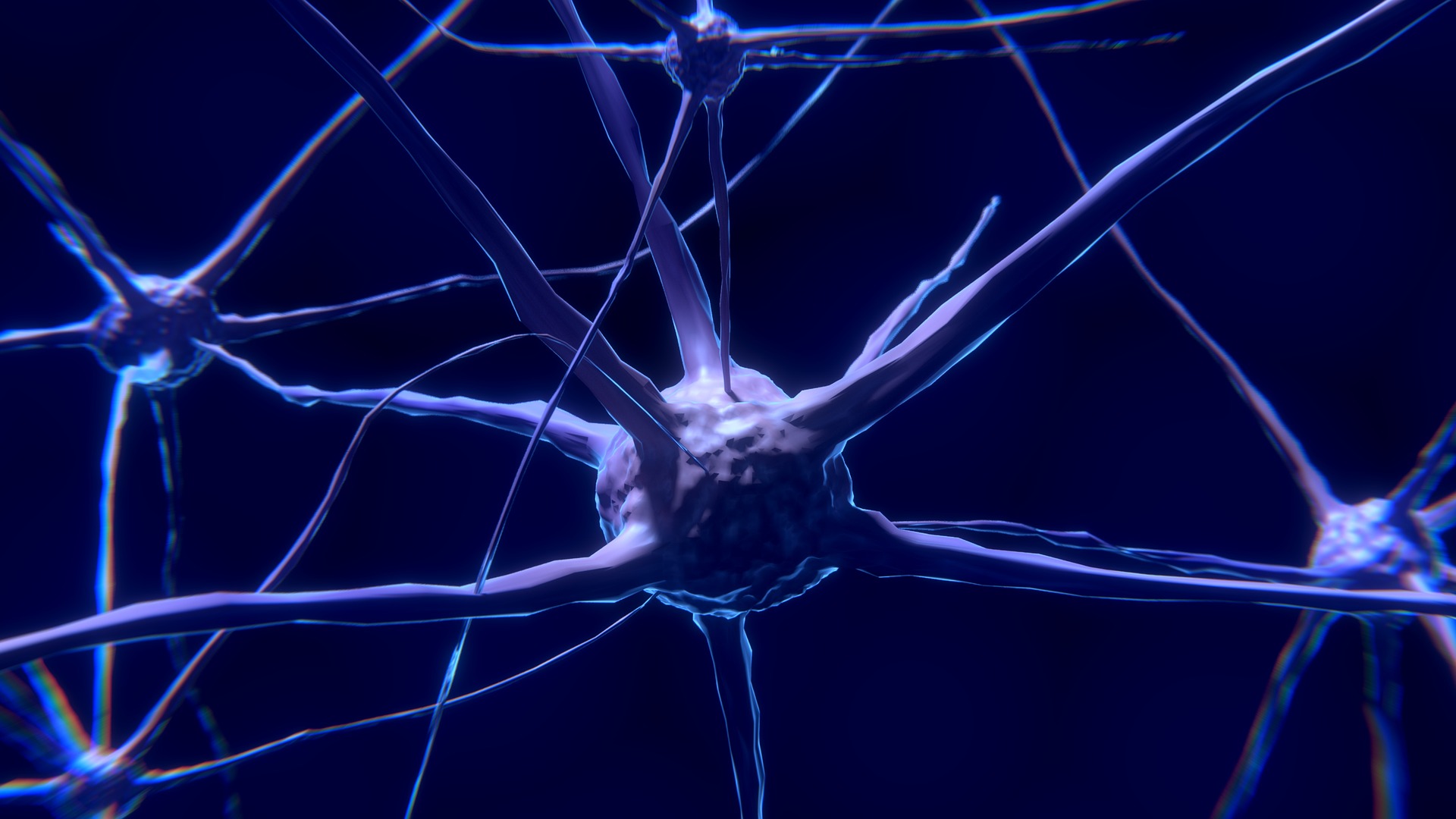 Brain cells - Neuroscience research